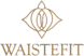 waistefit.com